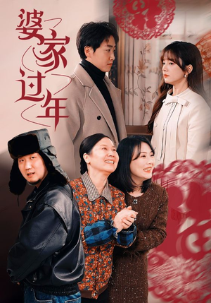 婆家过年(71集) 婆家过年(71集)热播短剧分享