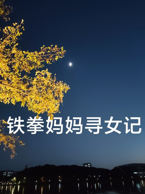 铁拳妈妈寻女记（69集）口碑爆棚免费看