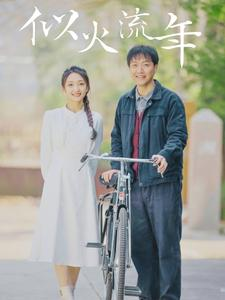 似火流年(100集) 似火流年(100集)熬夜追短剧