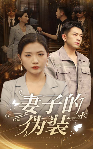 妻子的伪装(30集) 妻子的伪装(30集)免费观看