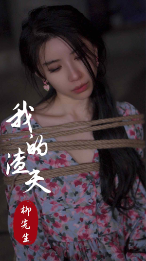 我的渣夫柳先生(80集) 我的渣夫柳先生(80集)短剧免费观看