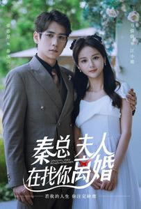 秦总,夫人在找你离婚(79集) 秦总,夫人在找你离婚(79集)短剧更新抢先看