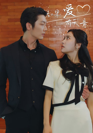 如果爱有天意(80集) 如果爱有天意(80集)短剧精彩不断