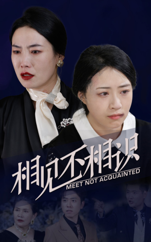 相见不相识(34集) 相见不相识(34集)短剧介绍