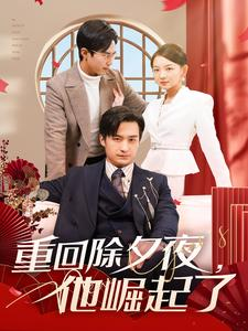 重回除夕夜他崛起了(89集) 重回除夕夜他崛起了(89集)短剧热门合集