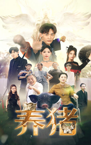 养猪(74集) 养猪(74集)全剧看到大结局