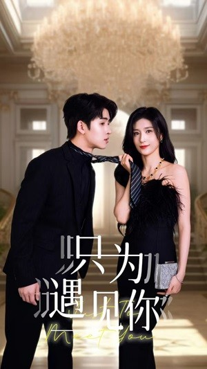 只为遇见你(88集) 只为遇见你(88集)高清无码免费看