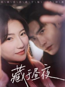 藏于昼夜（68集）短剧排行榜