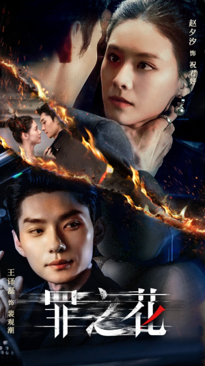 罪之花(56集) 罪之花(56集)好看的国产短剧