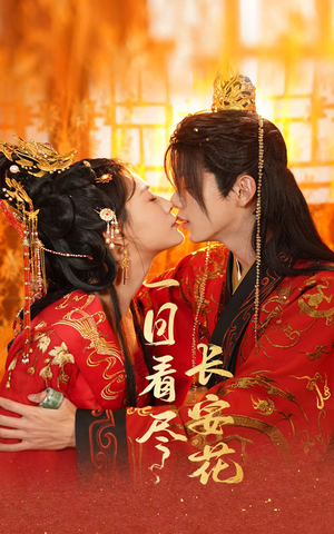 一日看尽长安花（58集）热门短剧看不停