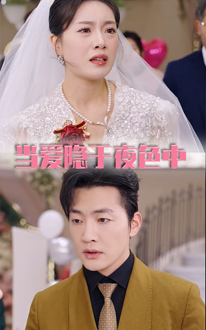 当爱隐于夜色中(37集) 当爱隐于夜色中(37集)精彩短剧看全集