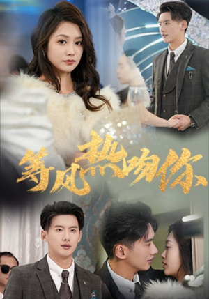 等风热吻你（31集）全网独播免费看