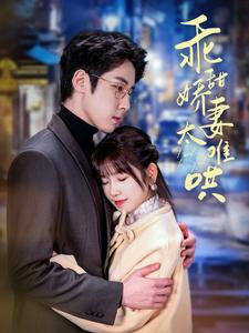 乖甜娇妻太难哄(100集) 乖甜娇妻太难哄(100集)解说文案