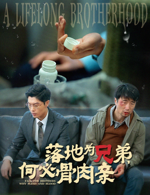 落地为兄弟,何必骨肉亲(60集) 落地为兄弟,何必骨肉亲(60集)短剧推荐上热门