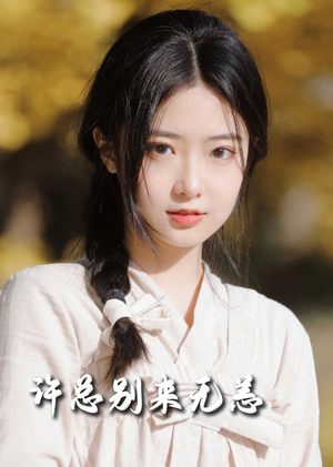 许总别来无恙(50集)  许总别来无恙(50集) 火爆短剧推荐