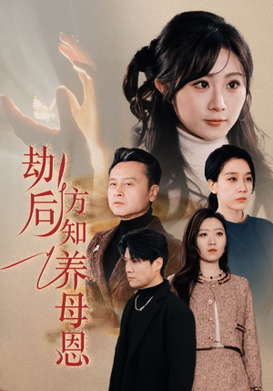 劫后方知养母恩(45集)  劫后方知养母恩(45集) 看短剧放松一下