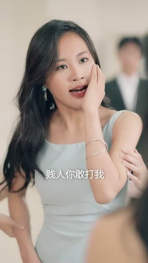 大盗亦有道（52集） 简直不要太好看