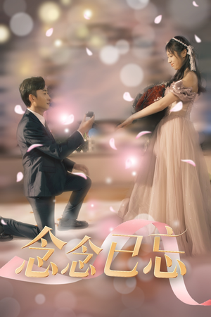念念已忘（30集） 分享好看短剧