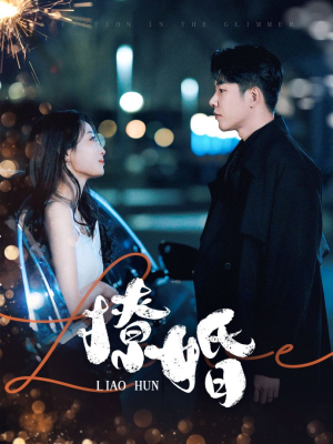 撩婚(90集) 撩婚(90集) 短剧太好看了