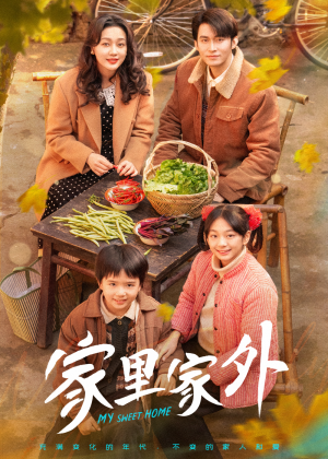 家里家外（79集） 免费短剧看不停