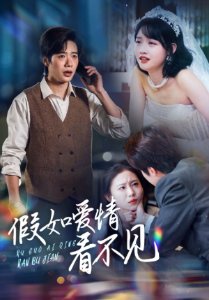 假如爱情看不见(55集)  假如爱情看不见(55集) 零花钱看整部剧