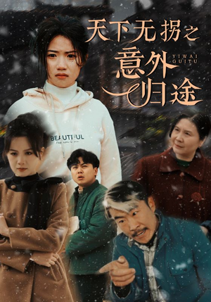 天下无拐之意外归途(61集)  天下无拐之意外归途(61集) 更新时间
