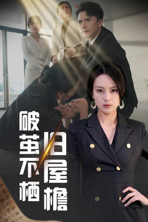 破茧不栖旧屋檐（30集） 短剧免费看