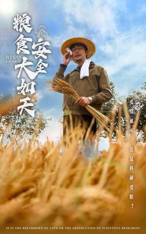 粮食安全大如天(43集)  粮食安全大如天(43集) 爆款短剧抢先看