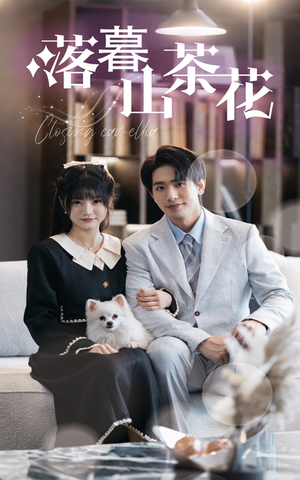 落幕山茶花(50集)  落幕山茶花(50集) 温柔追捕短剧