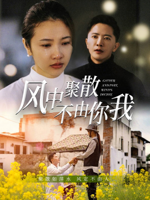 风中聚散不由你我（41集） 热播短剧来袭