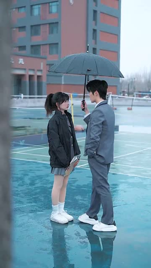 追你跟熬鹰似的(95集)  追你跟熬鹰似的(95集) 全集免费观看