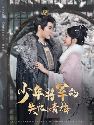 少年将军的失忆小青梅(100集) 少年将军的失忆小青梅(100集)在线观看