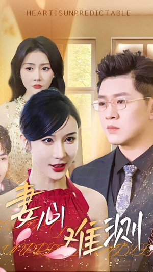 妻心难测(33集) 妻心难测(33集)古装短剧热播