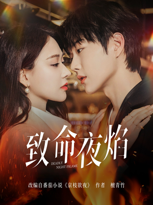 致命夜焰(80集)  致命夜焰(80集) 完整版免费观看