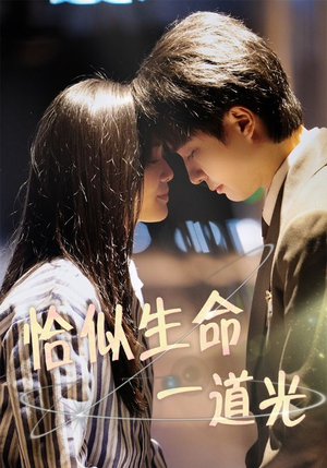 恰似生命一道光(60集)  恰似生命一道光(60集) 全集免费观看