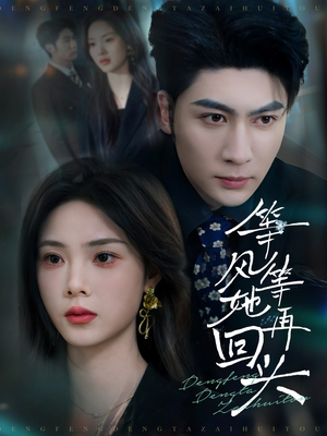 等风等她再回头(80集) 等风等她再回头(80集)红果免费看短剧