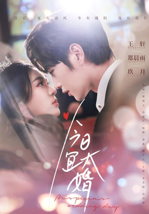 今日宜大婚(59集)  今日宜大婚(59集) 全集完整版