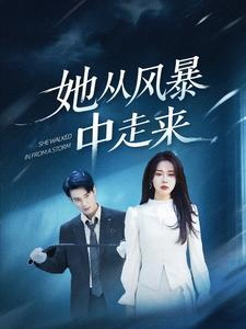 她从风暴中走来(60集) 她从风暴中走来(60集)大结局一气呵成