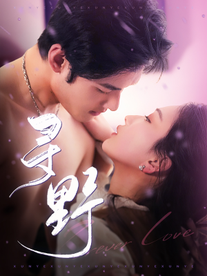 寻野(100集) 寻野(100集)短剧中追到爽