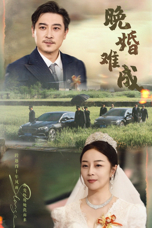 晚婚难成(60集) 晚婚难成(60集)好看吗