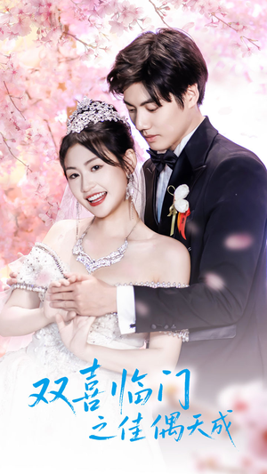 双喜临门之佳偶天成(42集) 双喜临门之佳偶天成(42集)短剧全集更精彩