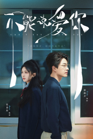 不能说爱你(64集) 不能说爱你(64集)好看上头的短剧