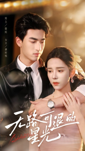 无路可退的星光（54集）百度网盘在线看