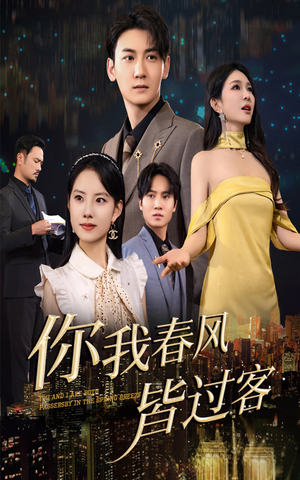 你我春风皆过客（58集）热门火爆短剧
