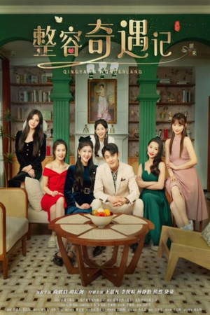 整容奇遇记(80集) 整容奇遇记(80集)好看短剧抢先看