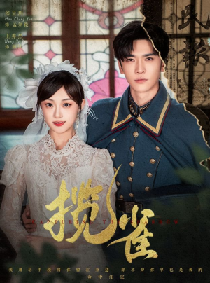 揽雀（61集）超甜短剧分享