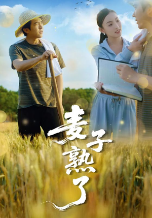 麦子熟了(52集) 麦子熟了(52集)短剧抢先看