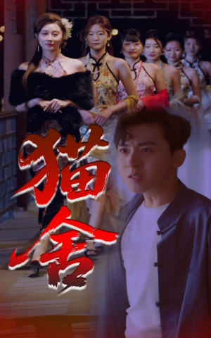 猫舍（34集）免费短剧看全集