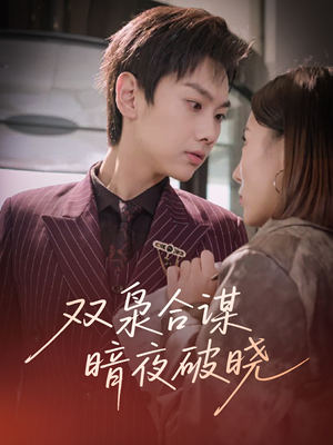 双枭合谋暗夜破晓(30集) 双枭合谋暗夜破晓(30集)简直不要太好看