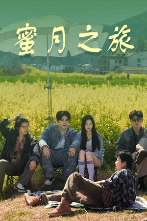 蜜月之旅(35集) 蜜月之旅(35集)我全都看完了